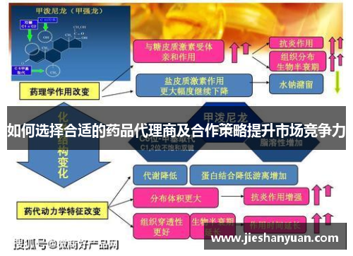 如何选择合适的药品代理商及合作策略提升市场竞争力