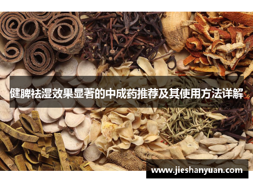 健脾祛湿效果显著的中成药推荐及其使用方法详解