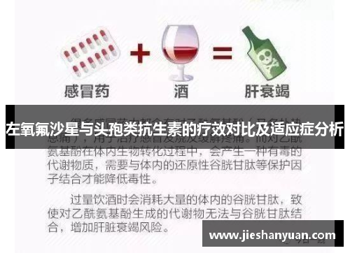 左氧氟沙星与头孢类抗生素的疗效对比及适应症分析 左氧氟沙星与头孢类抗生素的疗效对比及适应症分析