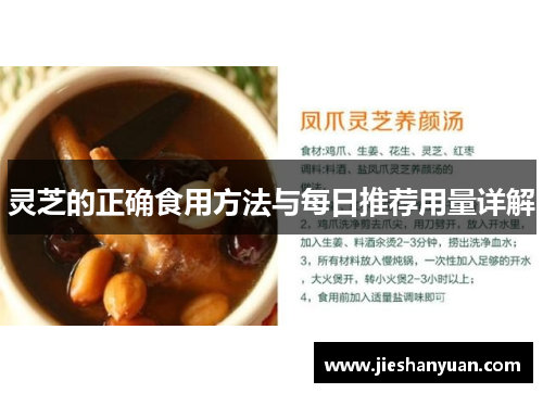 灵芝的正确食用方法与每日推荐用量详解